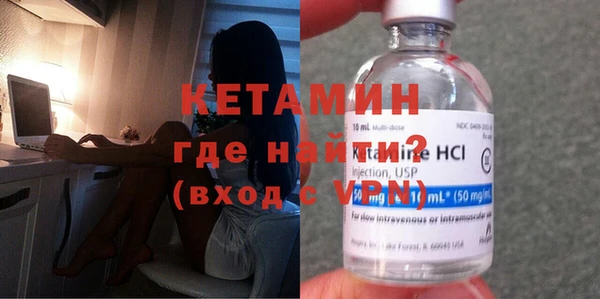 шишки Белокуриха