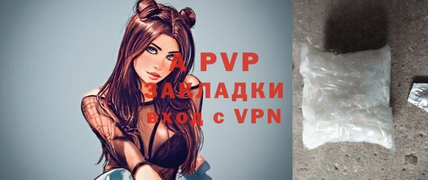 шишки Новозыбков