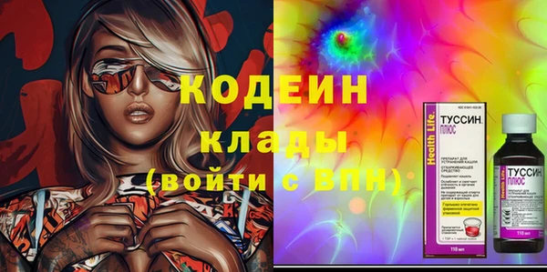 шишки Белокуриха