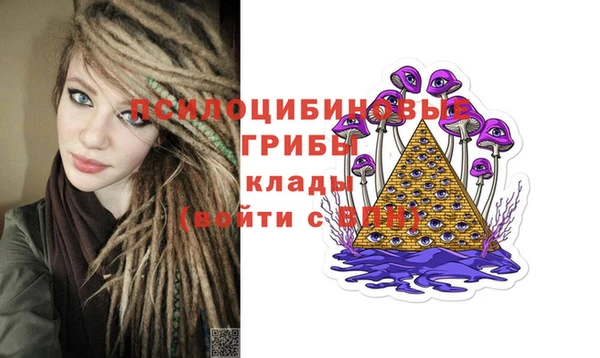 шишки Белокуриха