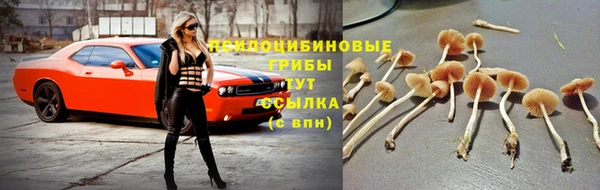 спайс Горняк