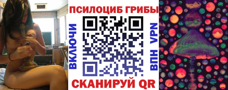 mega зеркало где можно купить Кодинск Галлюциногенные грибы мицелий
